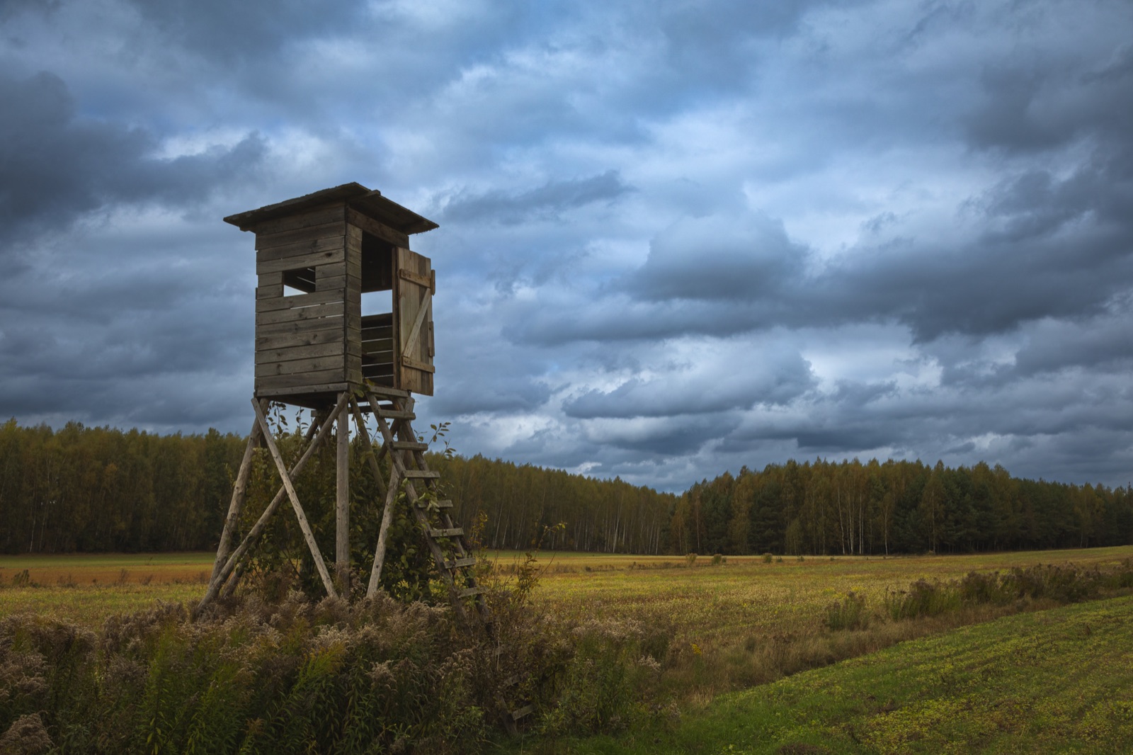 Jagdstand auf herbstlicher Wiese